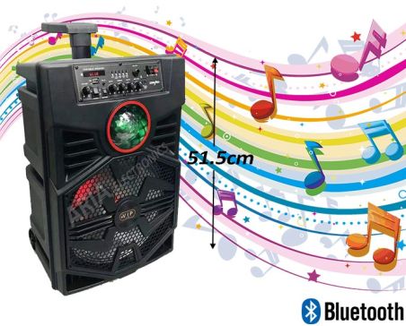 Φορητό Ηχείο Επαναφορτιζόμενο - 12inch