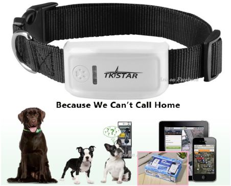 Σύστημα Εντοπισμού Σκύλου