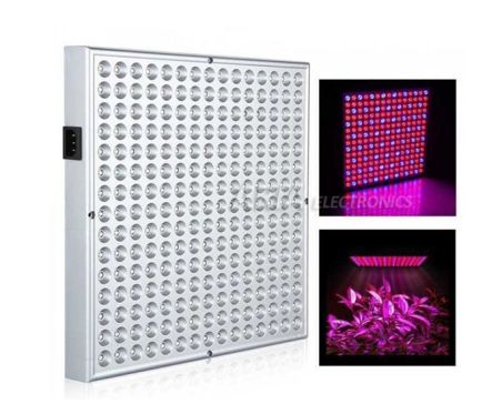 Λάμπα Ανάπτυξης Φυτών